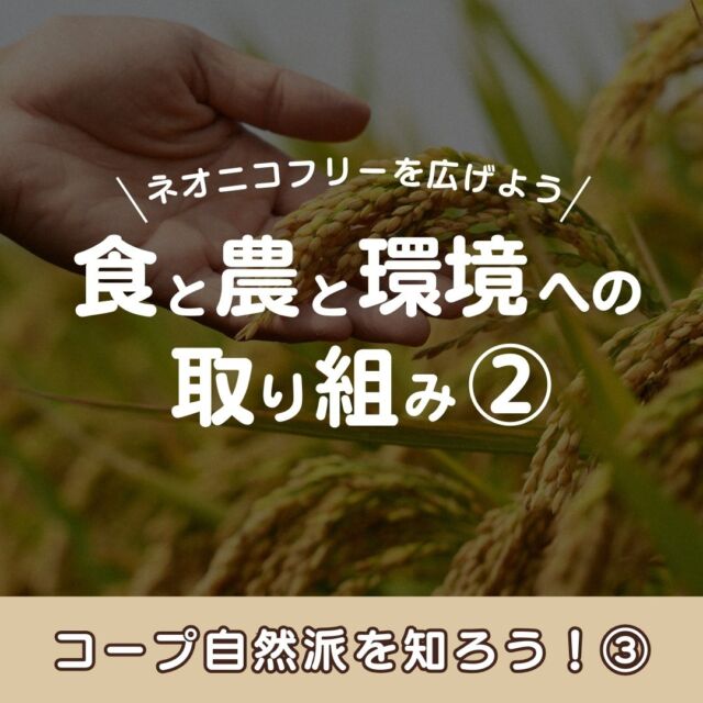 【📖シリーズ📖】

第3弾は、
「食と農と環境への取り組み②」
をご紹介✨

みなさんは、
『ネオニコチノイド系農薬』
を知っていますか？💭

洗っても落ちない、
神経毒性が強い農薬であり、
生態系や人間への脅威と
なっている殺虫剤です💊

私たちの取り組みとしては、
生産者と消費者がともに学び、
ネオニコフリー（ネオニコチノイド系農薬不使用）
に向けて取り組んでいます🌱

コープ自然派のカタログには、
目で見て選んでいただけるように、
マークを表示しています🐝

コープ自然派の安心・安全な商品を
みなさまのご自宅までお届けいたします😊

ぜひこの機会に、
コープ自然派を体験してみませんか？💭

資料請求・加入申込みは、
プロフィールURLをから
お申込みください😊

------------------------------
その他のイベント情報は、
過去の投稿にて掲載中❕
フォローして、最新情報をチェック✅

「生協の宅配コープ自然派」については、
プロフィールのURLをタップ📱

#コープ自然派しこく #コープ自然派
#香川 #徳島 #愛媛 #高知
#新シリーズ
#コープ自然派を知ろう
#国産 #有機 #農業 #自然 #環境 #農薬 
#ネオニコチノイド系農薬
#ネオニコフリー
#無農薬栽培